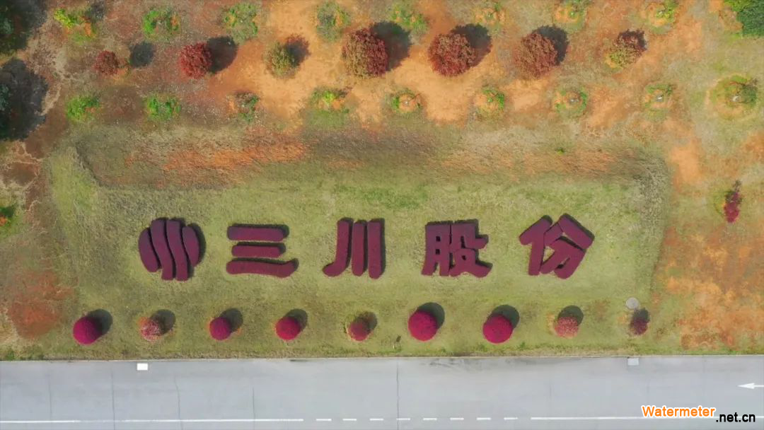 图片11
